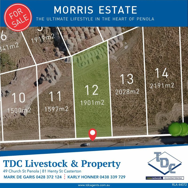 Photo - Lot 30 Cameron Street, Penola SA 5277 - Image 6