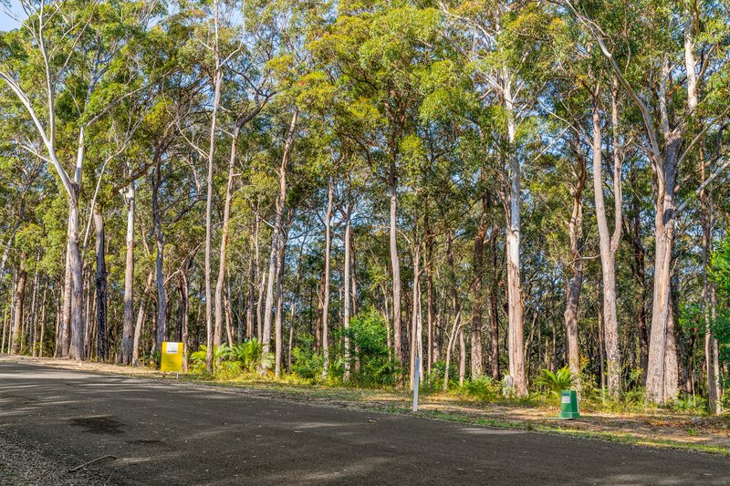 Photo - Lot 30 Clyde View Drive, Long Beach NSW 2536 - Image 3