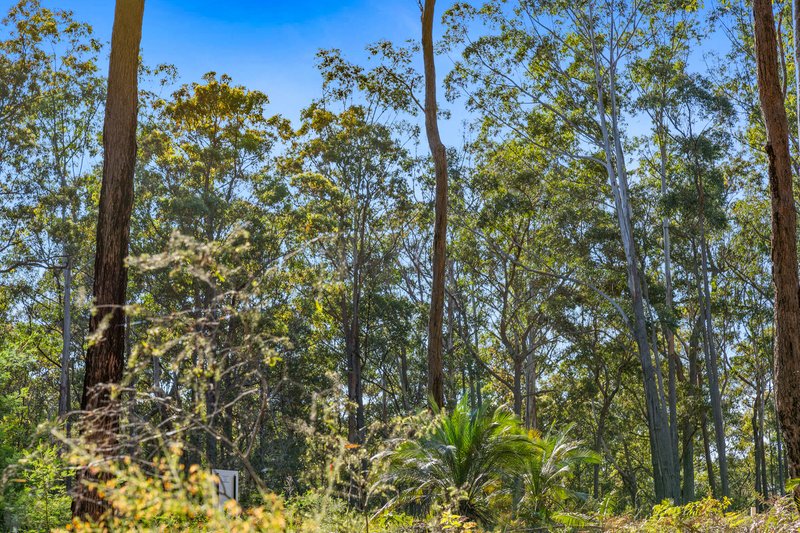 Photo - Lot 30 Clyde View Drive, Long Beach NSW 2536 - Image 13