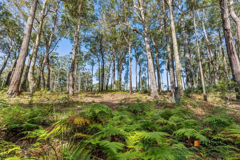 Photo - Lot 30 Clyde View Drive, Long Beach NSW 2536 - Image 9