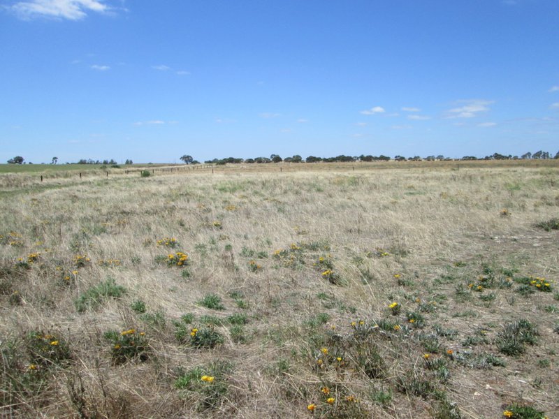 Photo - Lot 30 Sheoak Place, Tailem Bend SA 5260 - Image 9