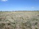 Photo - Lot 30 Sheoak Place, Tailem Bend SA 5260 - Image 9