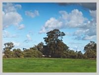 Photo - Lot 30 Wandering Drive, North Dandalup WA 6207 - Image 3