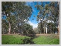 Photo - Lot 30 Wandering Drive, North Dandalup WA 6207 - Image 4