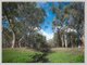 Photo - Lot 30 Wandering Drive, North Dandalup WA 6207 - Image 4