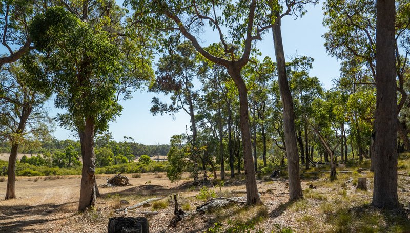 Lot 3001 Hopkins Road, Chapman Hill WA 6280