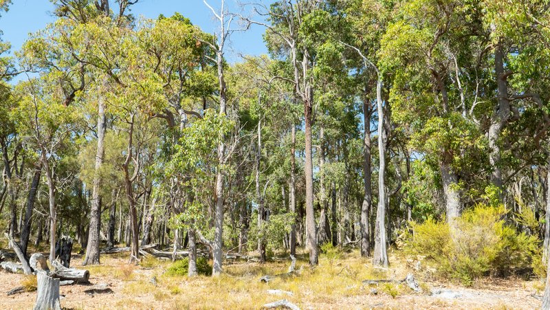 Photo - Lot 3001 Hopkins Road, Chapman Hill WA 6280 - Image 8