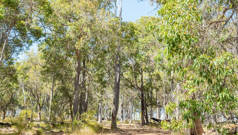 Photo - Lot 3001 Hopkins Road, Chapman Hill WA 6280 - Image 12