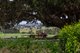 Photo - Lot 3002 - Alne Bank Rose Valley Road, Rose Valley NSW 2534 - Image 13