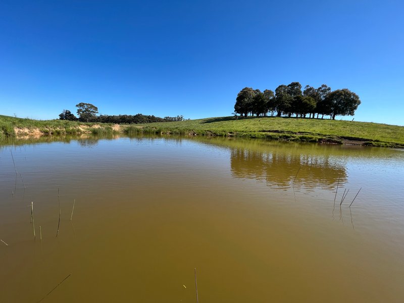 Photo - Lot 3011 Faugha Ballaugha Road, Oberon NSW 2787 - Image 3