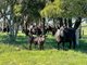 Photo - Lot 3011 Faugha Ballaugha Road, Oberon NSW 2787 - Image 4