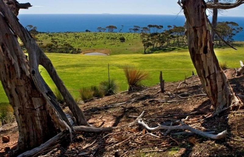 Photo - Lot 302 Western River Road, Middle River SA 5223 - Image 2