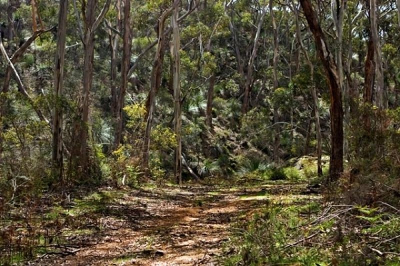 Photo - Lot 302 Western River Road, Middle River SA 5223 - Image 3