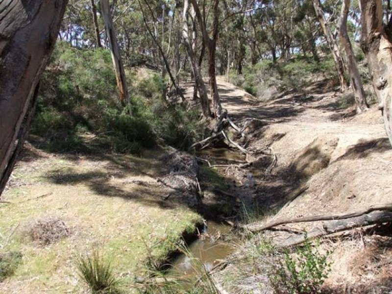 Photo - Lot 302 Western River Road, Middle River SA 5223 - Image 4