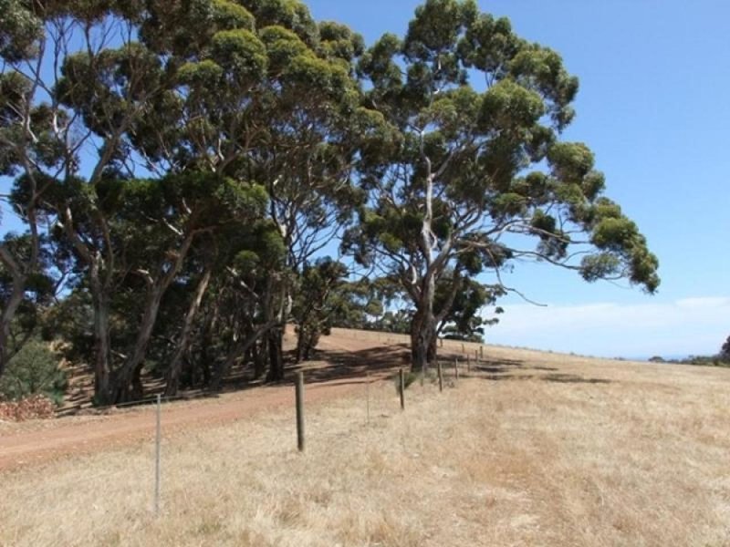 Photo - Lot 302 Western River Road, Middle River SA 5223 - Image 6