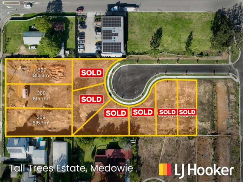 Lot 302/799 Medowie Road, Medowie NSW 2318