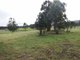 Photo - Lot 304 Limeburners Creek Road Boat Falls Estate , Clarence Town NSW 2321 - Image 2