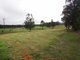 Photo - Lot 304 Limeburners Creek Road Boat Falls Estate , Clarence Town NSW 2321 - Image 3