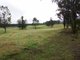 Photo - Lot 304 Limeburners Creek Road Boat Falls Estate , Clarence Town NSW 2321 - Image 4