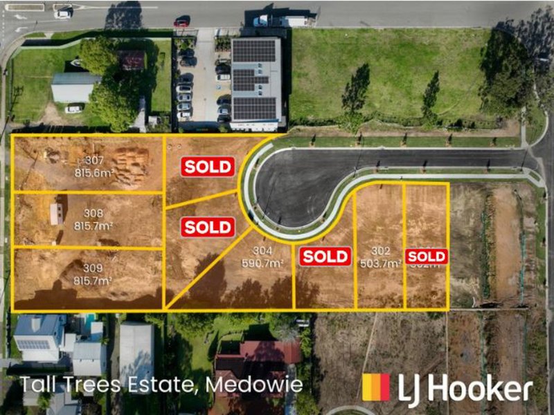 Lot 305/799 Medowie Road, Medowie NSW 2318