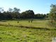 Photo - Lot 308 Blue Wren Es Howards Road, Baranduda VIC 3691 - Image 3