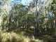 Photo - Lot 31 Hills Road, Mount Maria QLD 4674 - Image 7