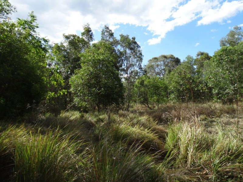 Photo - Lot 31 Hills Road, Mount Maria QLD 4674 - Image 8