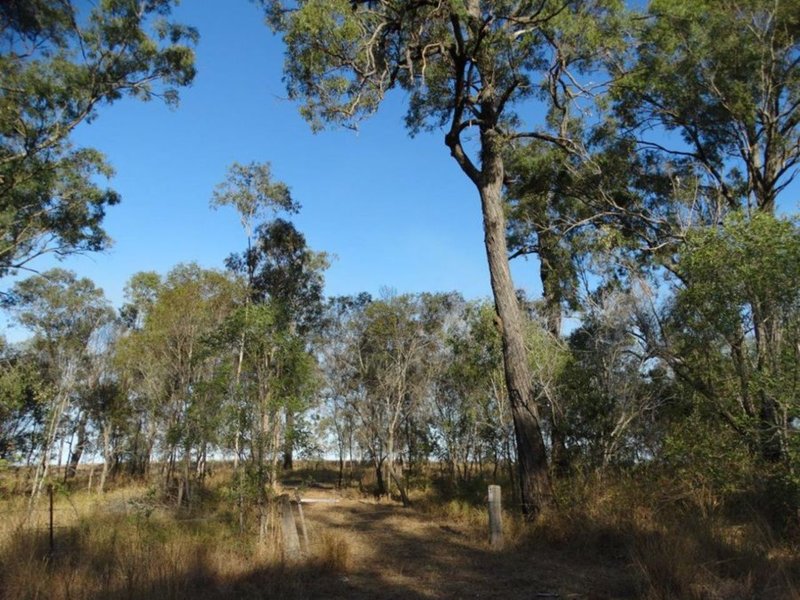 Photo - Lot 31 Hills Road, Mount Maria QLD 4674 - Image 11