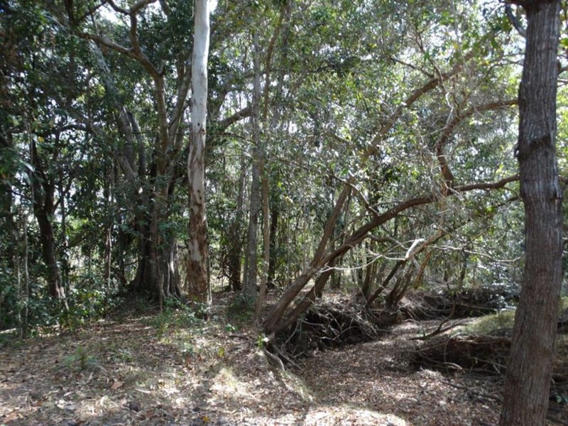 Photo - Lot 31 Hills Road, Mount Maria QLD 4674 - Image 14