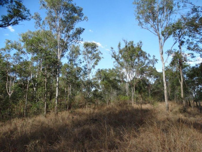 Photo - Lot 31 Hills Road, Mount Maria QLD 4674 - Image 17