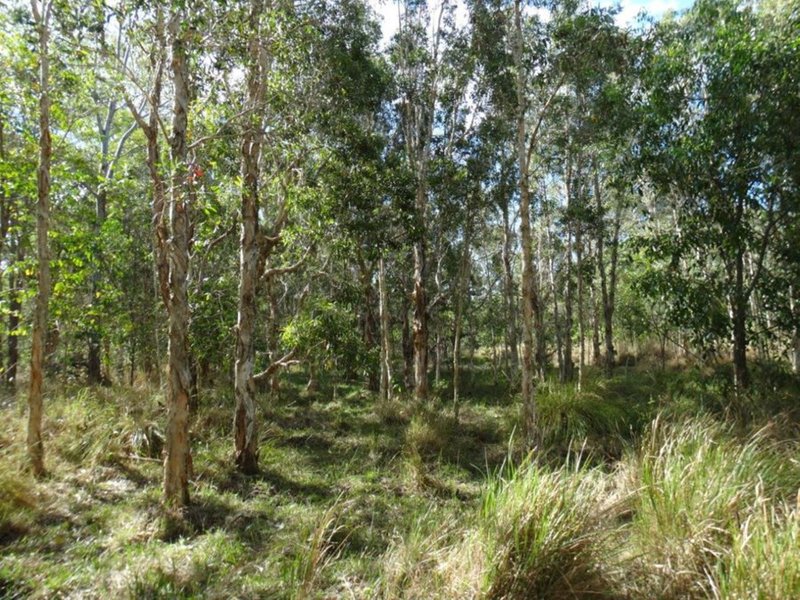 Photo - Lot 31 Hills Road, Mount Maria QLD 4674 - Image 21