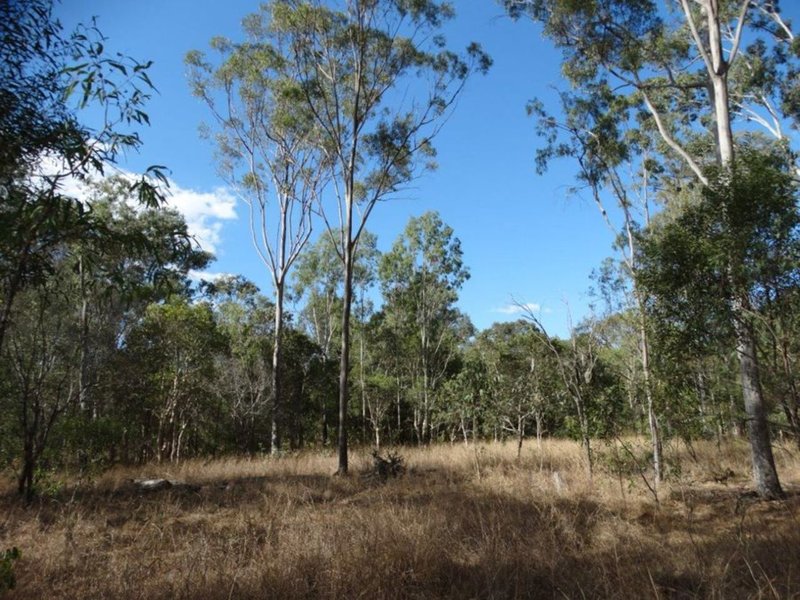 Photo - Lot 31 Hills Road, Mount Maria QLD 4674 - Image 22