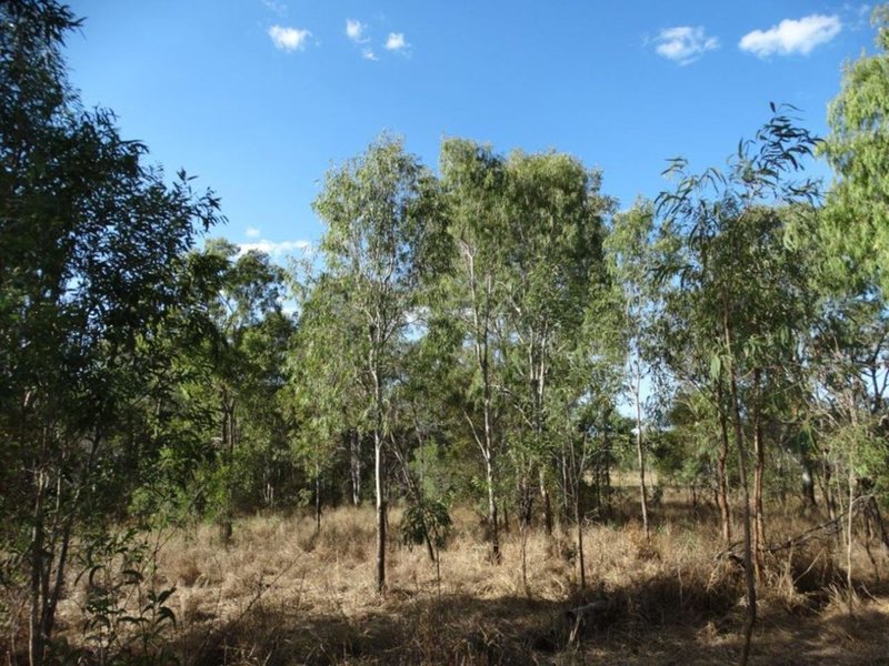 Photo - Lot 31 Hills Road, Mount Maria QLD 4674 - Image 23