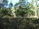 Photo - Lot 31 Hills Road, Mount Maria QLD 4674 - Image 24