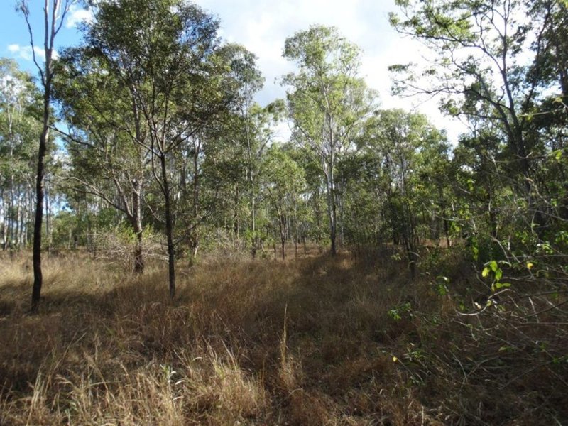 Photo - Lot 31 Hills Road, Mount Maria QLD 4674 - Image 25