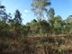 Photo - Lot 31 Hills Road, Mount Maria QLD 4674 - Image 26