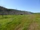 Photo - Lot 31 Richards Road, Ferguson WA 6236 - Image 5