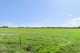 Photo - Lot 31 Sybella Avenue, Koo Wee Rup VIC 3981 - Image 5