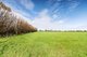 Photo - Lot 31 Sybella Avenue, Koo Wee Rup VIC 3981 - Image 8