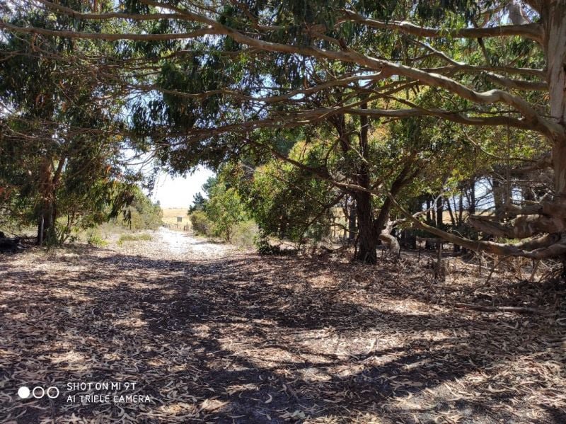 Photo - Lot 31 Two Peoples Bay Road, Kalgan WA 6330 - Image 2