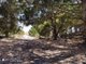 Photo - Lot 31 Two Peoples Bay Road, Kalgan WA 6330 - Image 2