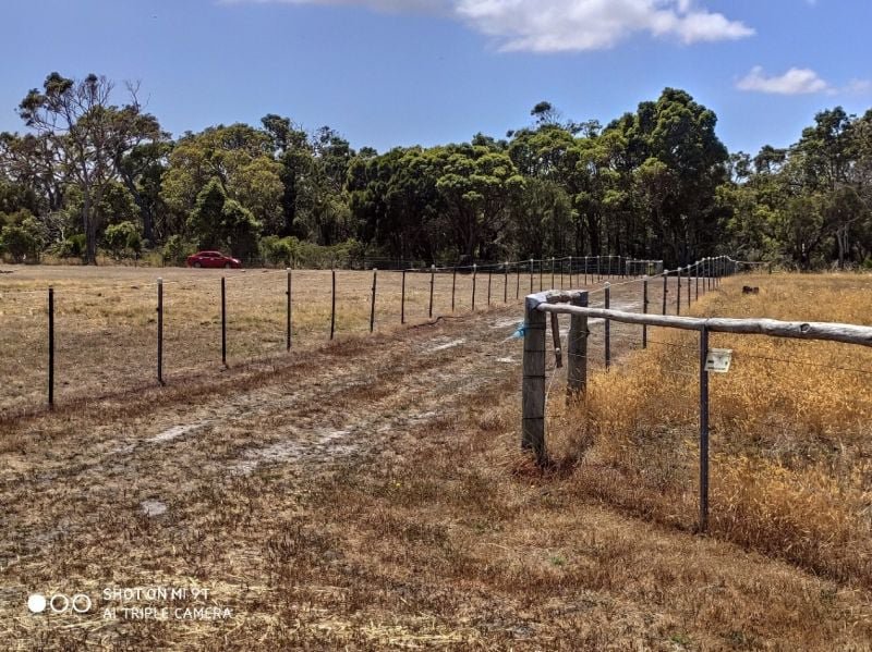 Photo - Lot 31 Two Peoples Bay Road, Kalgan WA 6330 - Image 4