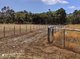 Photo - Lot 31 Two Peoples Bay Road, Kalgan WA 6330 - Image 4