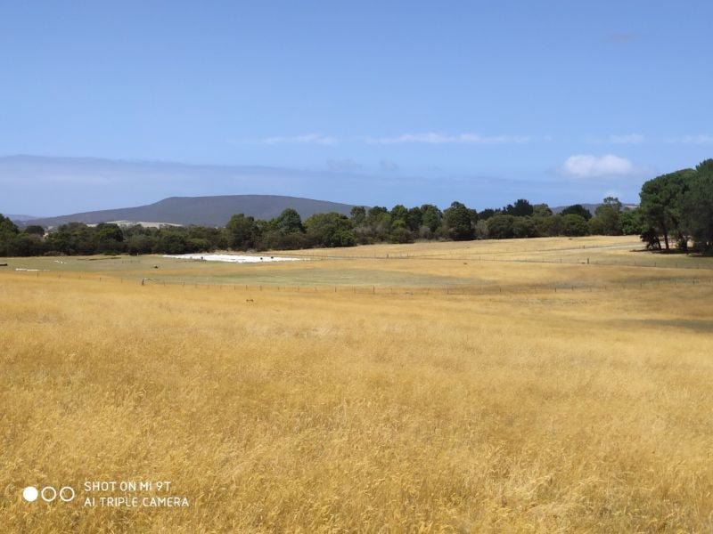 Photo - Lot 31 Two Peoples Bay Road, Kalgan WA 6330 - Image 8