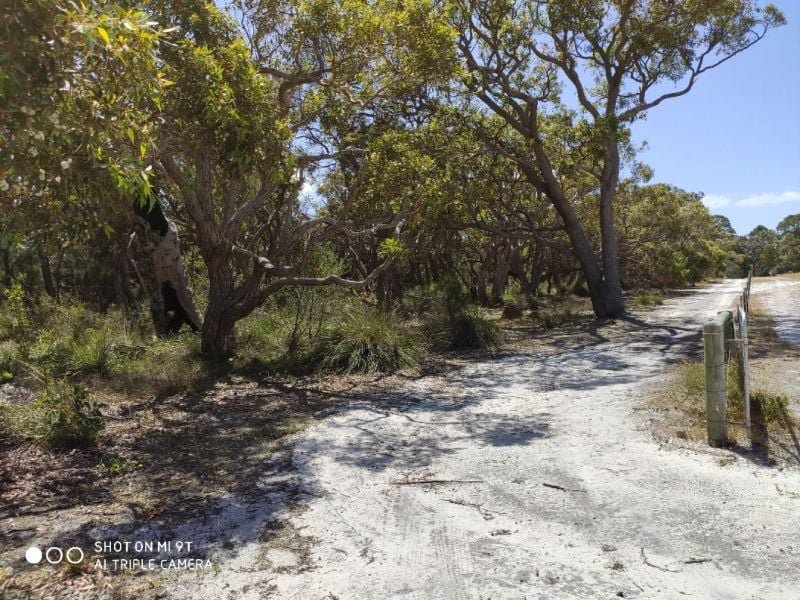 Photo - Lot 31 Two Peoples Bay Road, Kalgan WA 6330 - Image 9