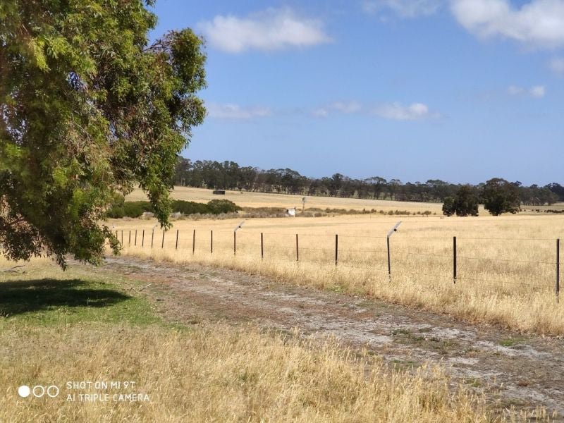 Photo - Lot 31 Two Peoples Bay Road, Kalgan WA 6330 - Image 11