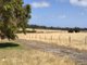 Photo - Lot 31 Two Peoples Bay Road, Kalgan WA 6330 - Image 11