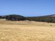 Photo - Lot 31 Two Peoples Bay Road, Kalgan WA 6330 - Image 12