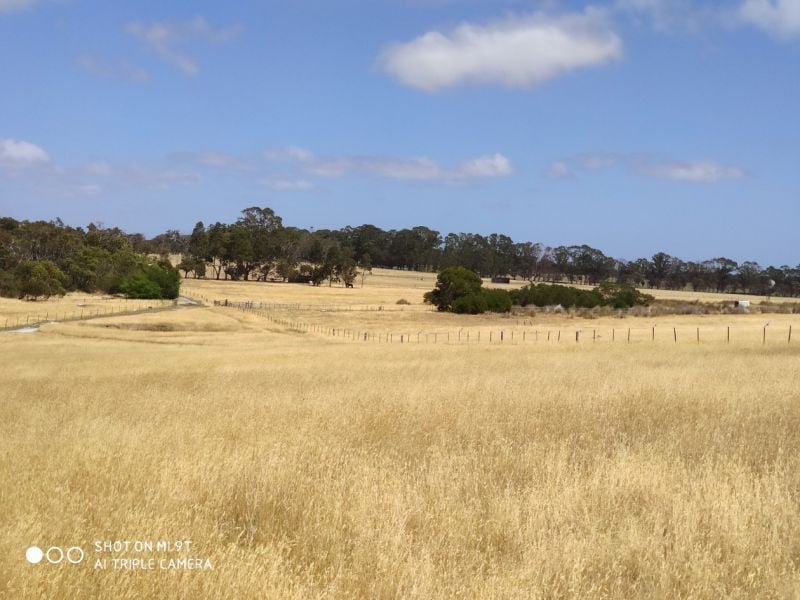 Photo - Lot 31 Two Peoples Bay Road, Kalgan WA 6330 - Image 14