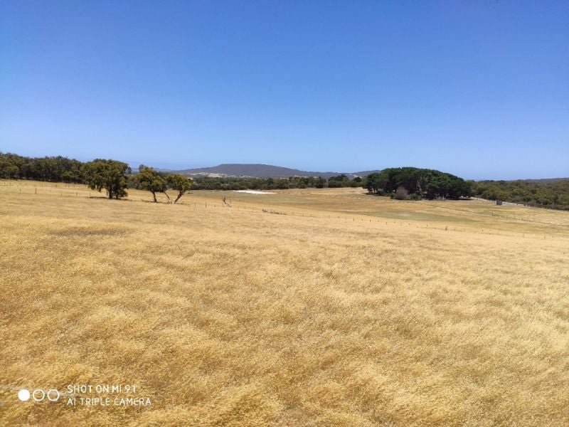 Photo - Lot 31 Two Peoples Bay Road, Kalgan WA 6330 - Image 16